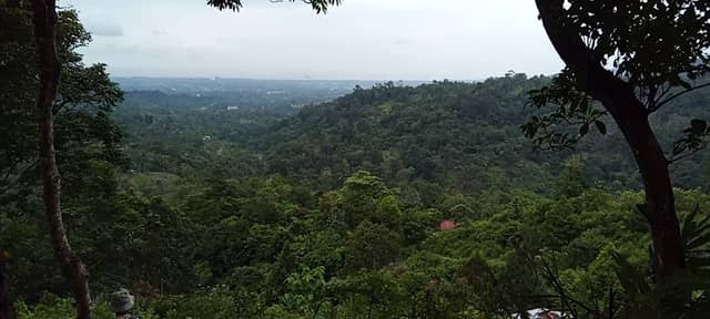 Tanah Nenek Upik Pilakuik - Image 1