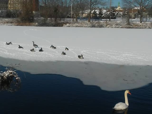 Quequechan River Rail Trail - Image 1