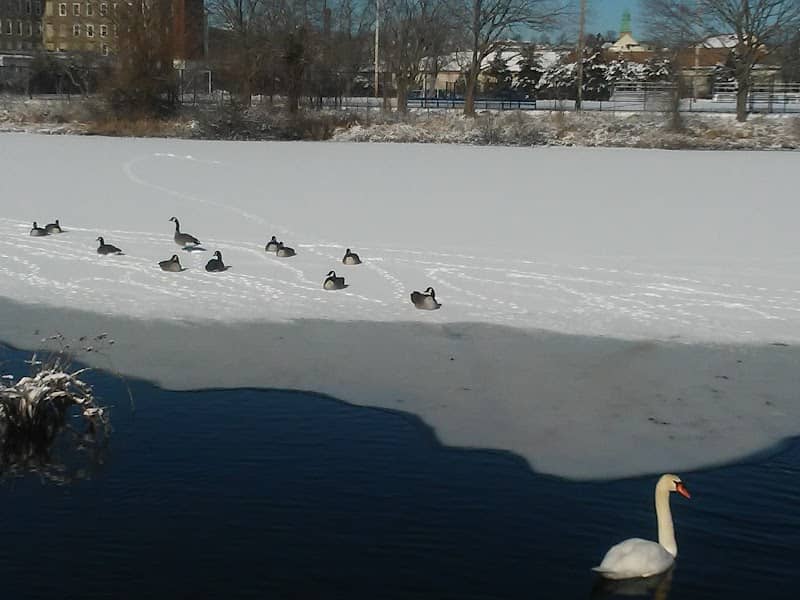Quequechan River Rail Trail - Image 1