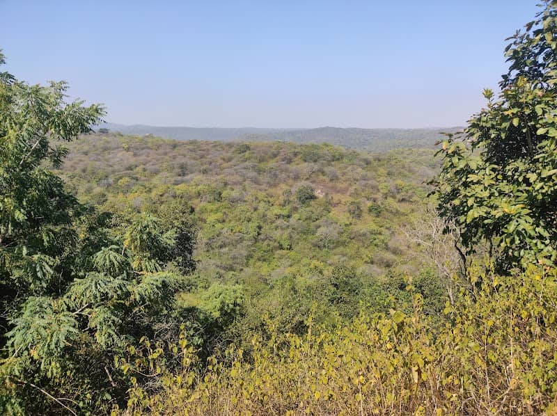 Udandapur Reserve Forest Valley View - Image 1