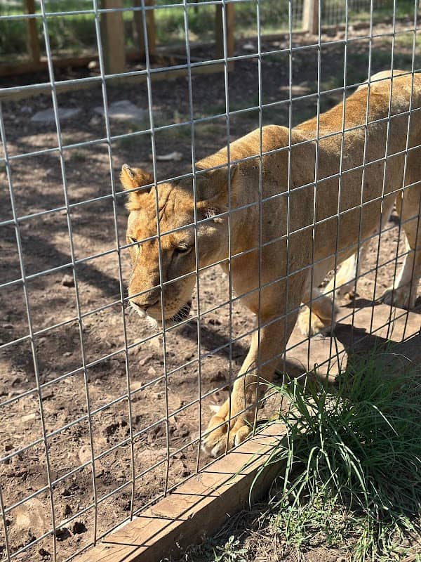 Texas Wildlife Park and Education Center - Image 2