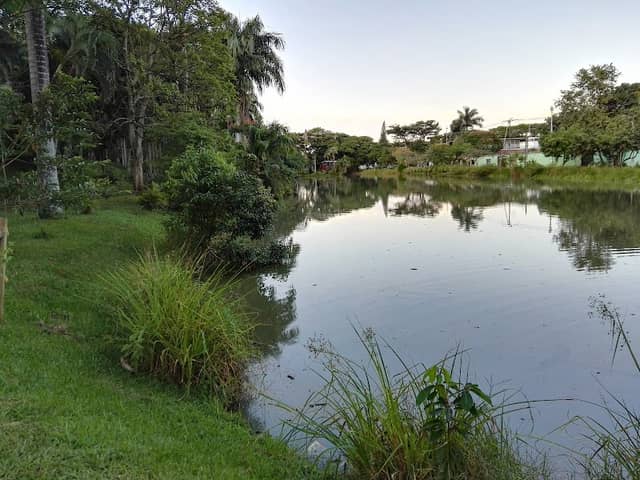 Humedal La Babilla - Image 2