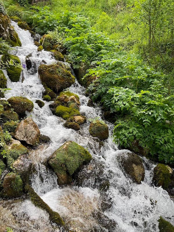 Cold Water Nature Monument - Image 1