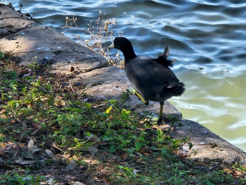 Liberty Park Gardens Hike & Bike Trail - Image 1