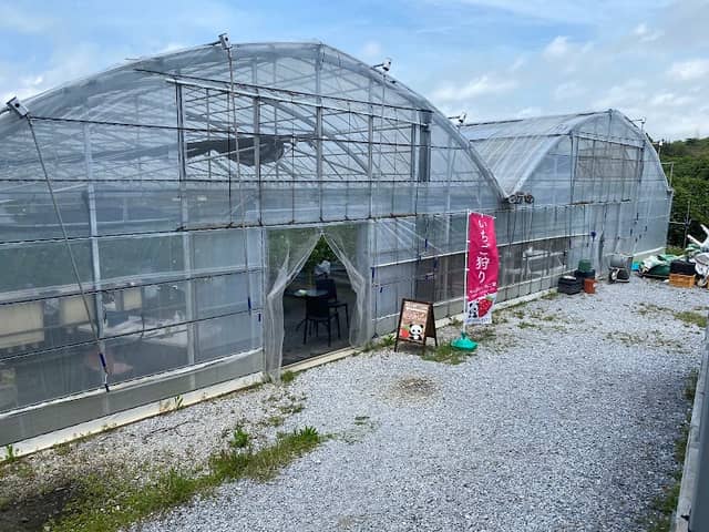 Yanbaru Strawberry Garden - Image 1