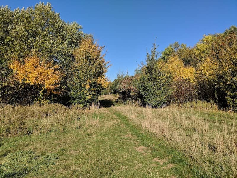 Deer Park Wood - Image 1