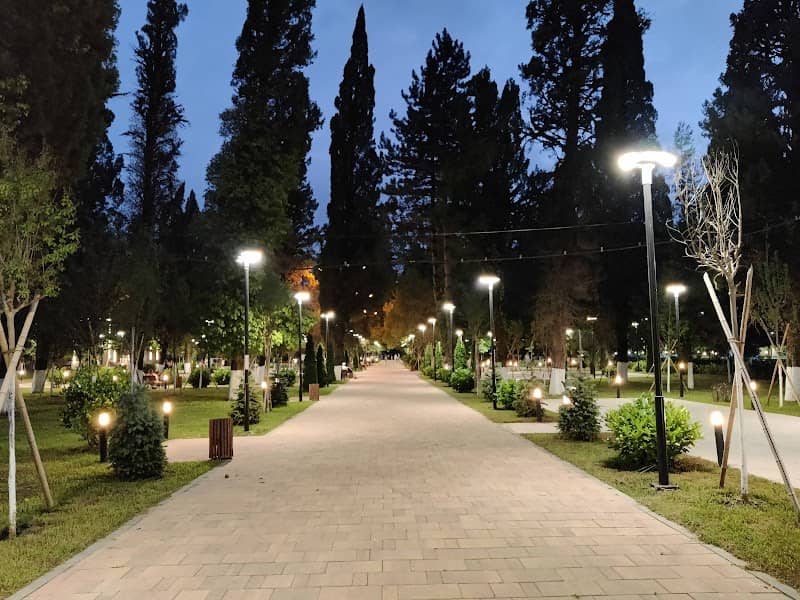 მარტვილის ხეივანი - Image 1