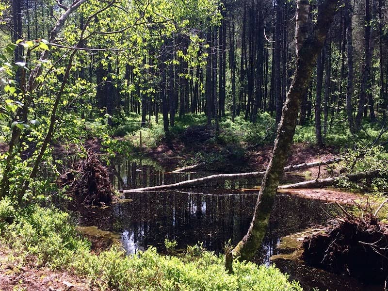 Sagne du Sentier - Image 1