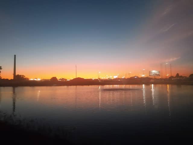 Reelfoot Pond Park - Image 1