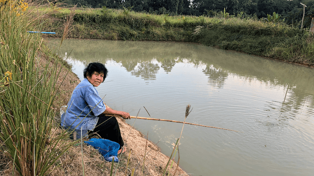 โต่งหนองมอย @บ้านนาต้นจั่น - Image 1