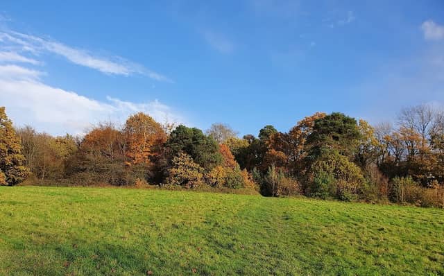 Garston Park - Image 2