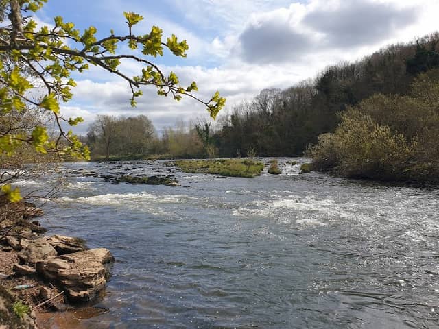 Rosalyn's Brae - Image 1