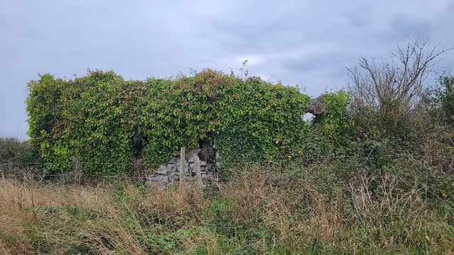 Daws Castle - Image 1