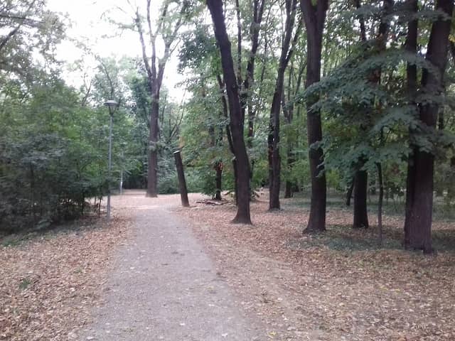 Hyde Park - Image 1