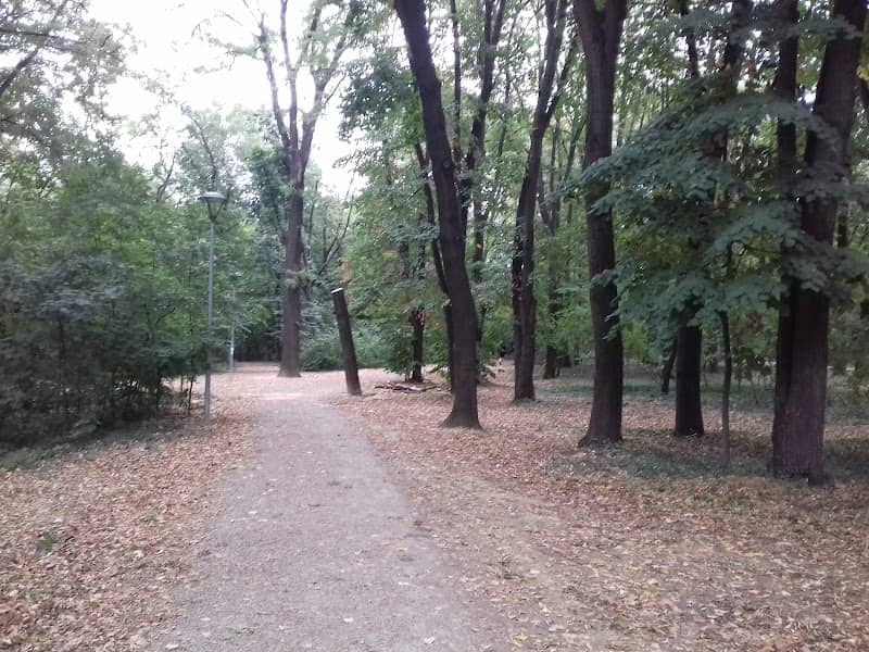 Hyde Park - Image 1