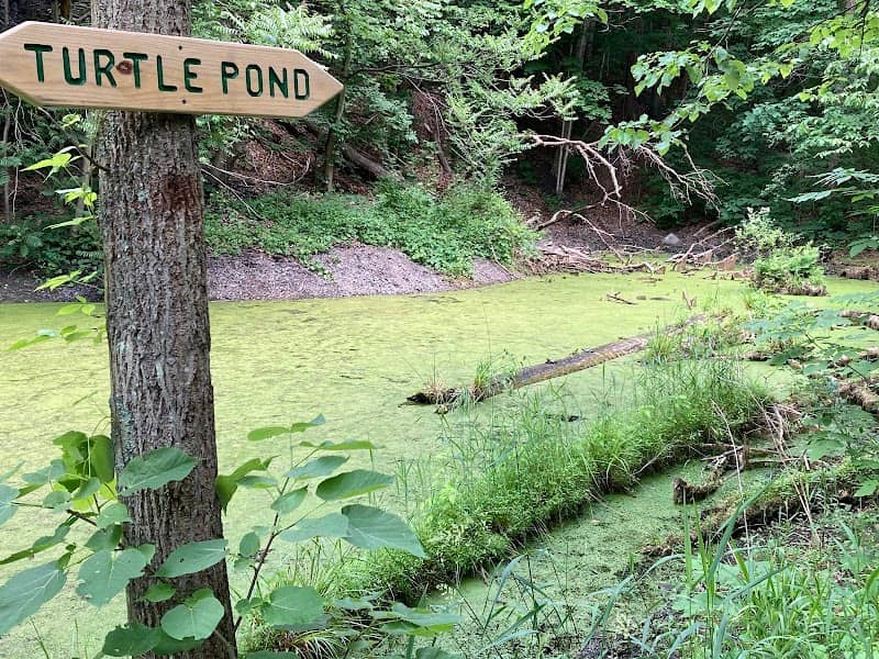 Keuka Lake Trail - Turtle Pond - Image 1