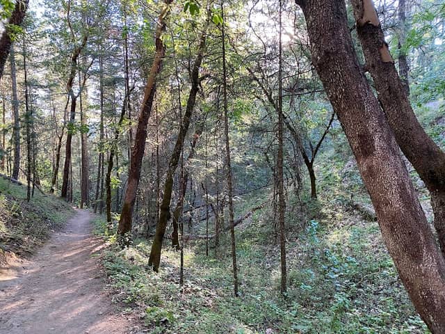 Cathedral Hills - Image 2