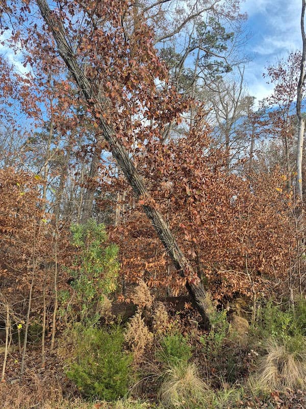 Fuda Creek Greenway - Image 2