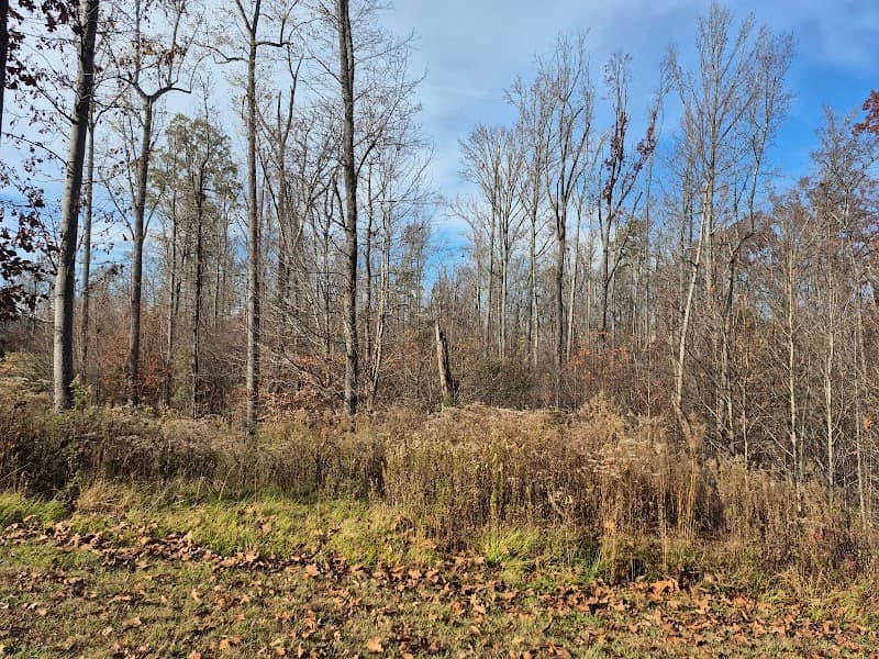 Fuda Creek Greenway - Image 1