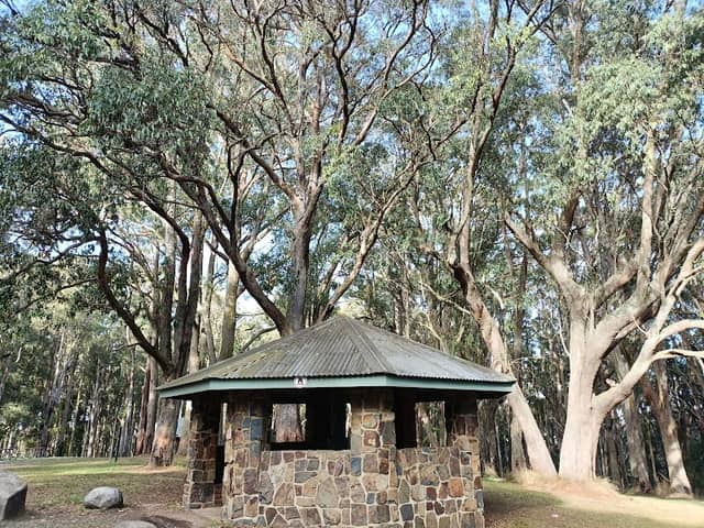 One Tree Hill Picnic Ground - Image 1
