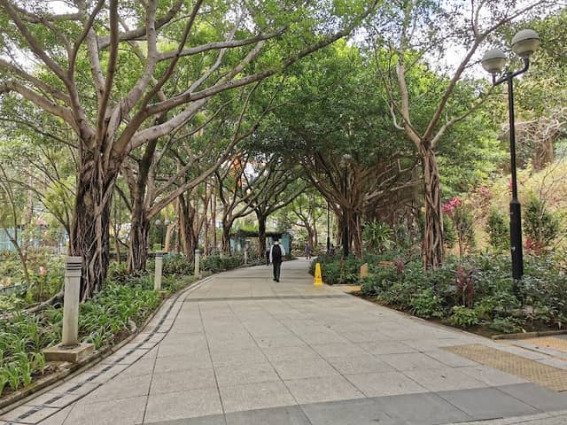 Shing Mun Valley Park (South Garden) - Image 1