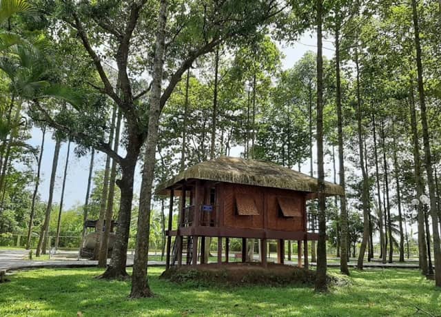 President Ton Duc Thang Memorial - Image 1
