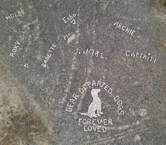 Departed Dog Memorial - Image 2
