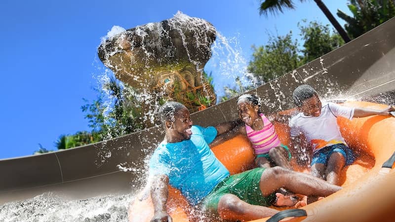Miss Adventure Falls - Image 1