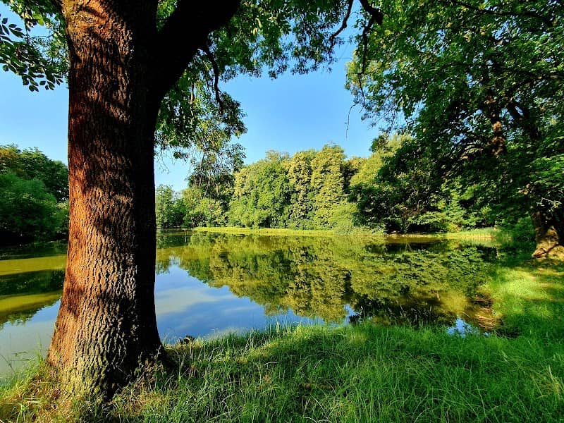 Rybník Magát - Image 1