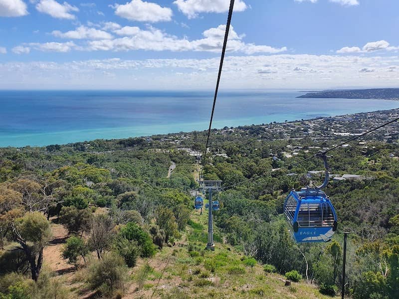 EAGLE - Cable Cars - Image 1