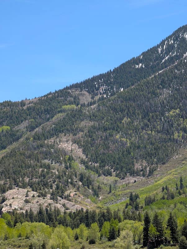 Beaver Lake State Wildlife Area - Image 3