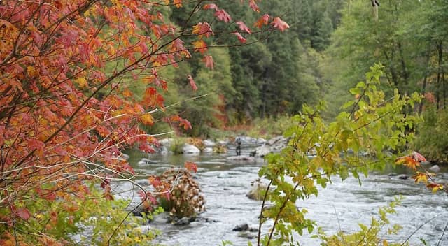 McCloud River Preserve - Image 1