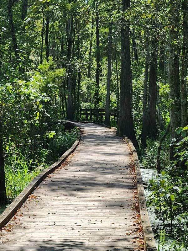 Joyce Wildlife Management Area - Image 2