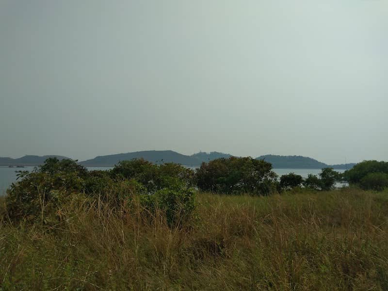 Peacock Island (Mayur Tapu) - Image 1