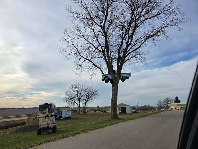 Truck in a Tree - Image 2