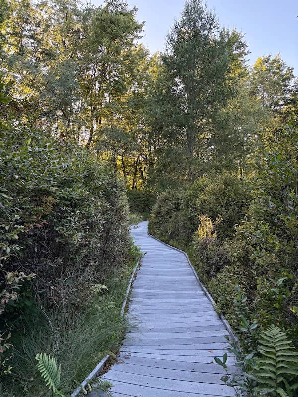 Cooperrider-Kent Bog State Nature Preserve - Image 2