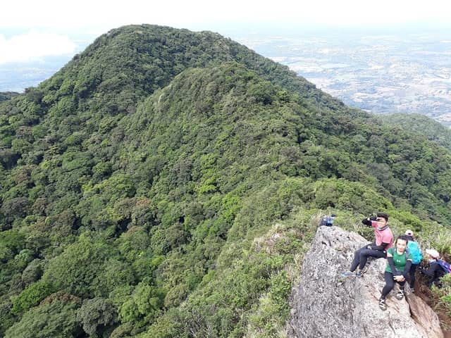 Makiling Forest Reserve Laguna - Image 1