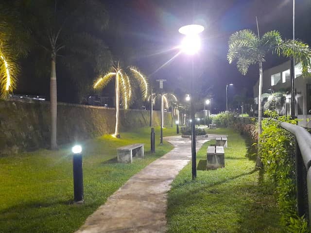 Hachi Park - Image 2