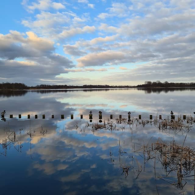 Natuurgebied Botshol - Image 2