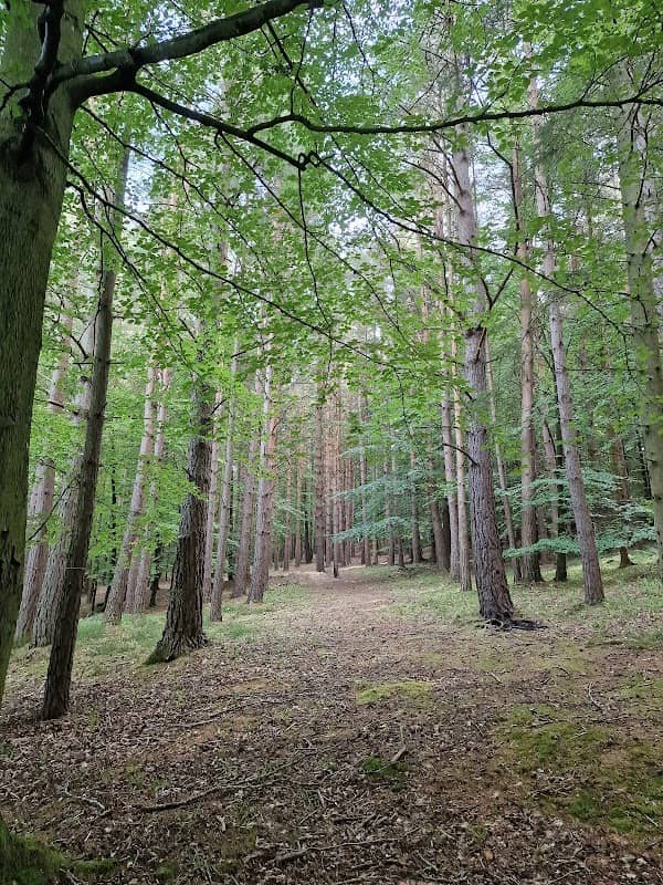 Allensford Walk - Image 1