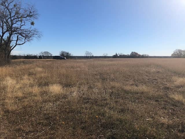 Triumph Hill Ranch - Image 2