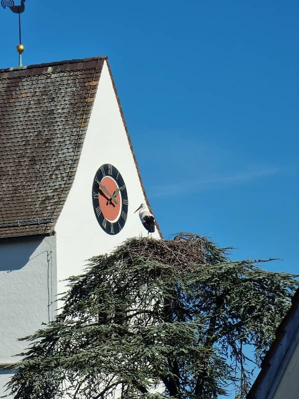 Storchennest Uttwil - Image 1