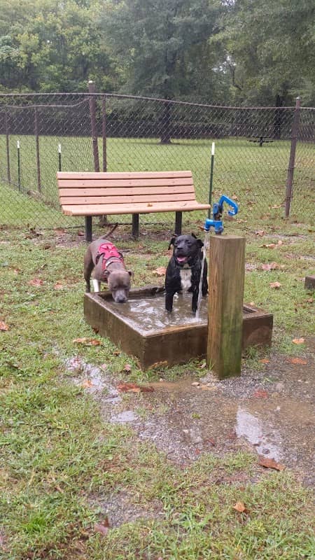 Oconee River Greenway Dog Park - Image 2