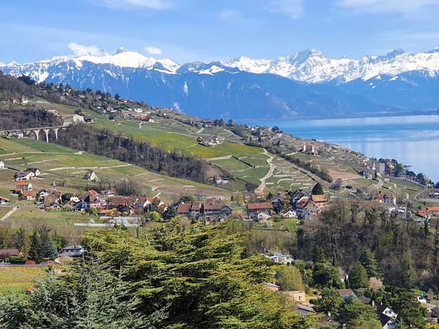 Parc du Bochat - Image 1