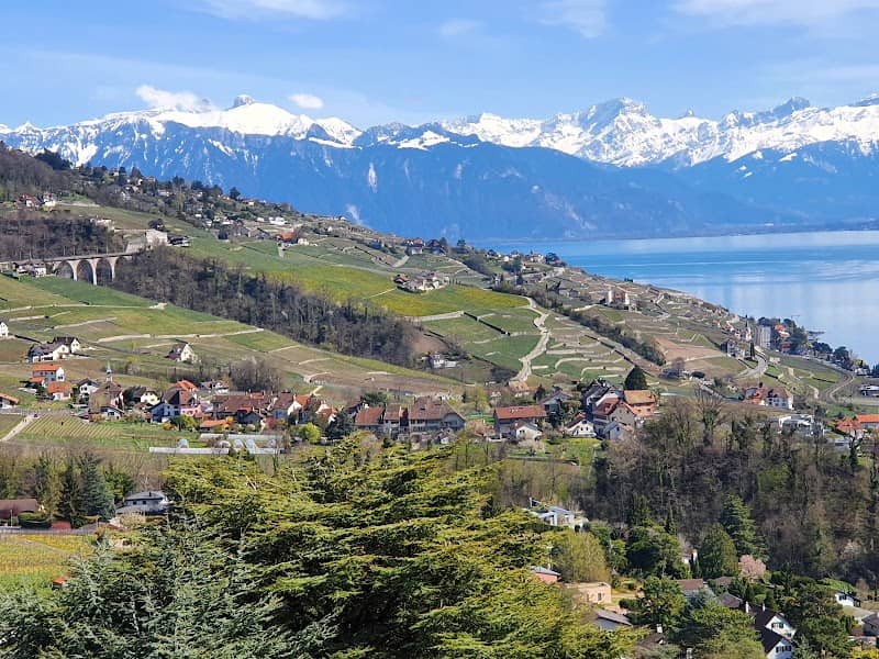 Parc du Bochat - Image 1