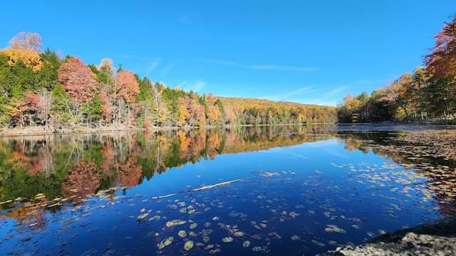 Bays Mountain Park & Planetarium - Image 1