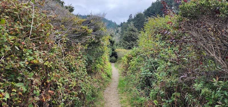 Coastal Trail - Last Chance Trailhead - Image 3