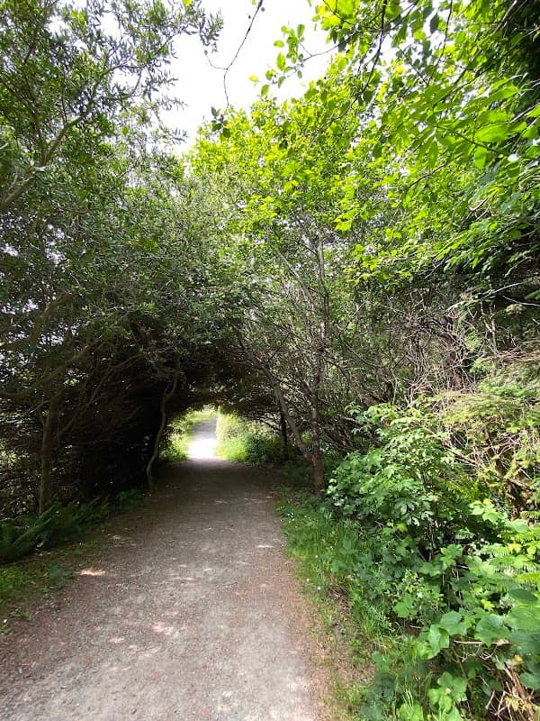 Coastal Trail - Last Chance Trailhead - Image 2