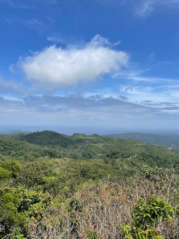 Mt. Bandilaan National Park - Image 1