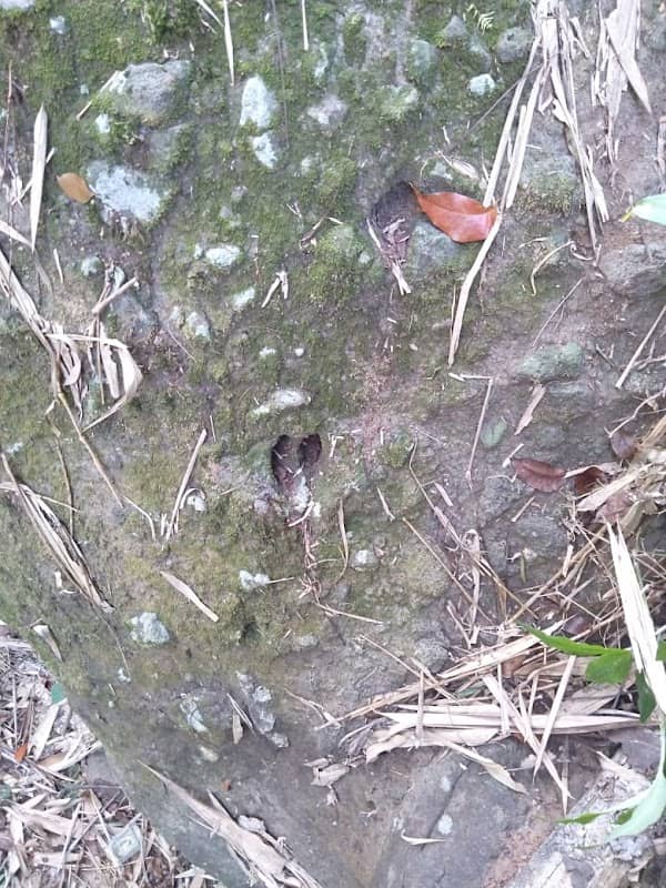 Batu Tapak Uncal - Image 1
